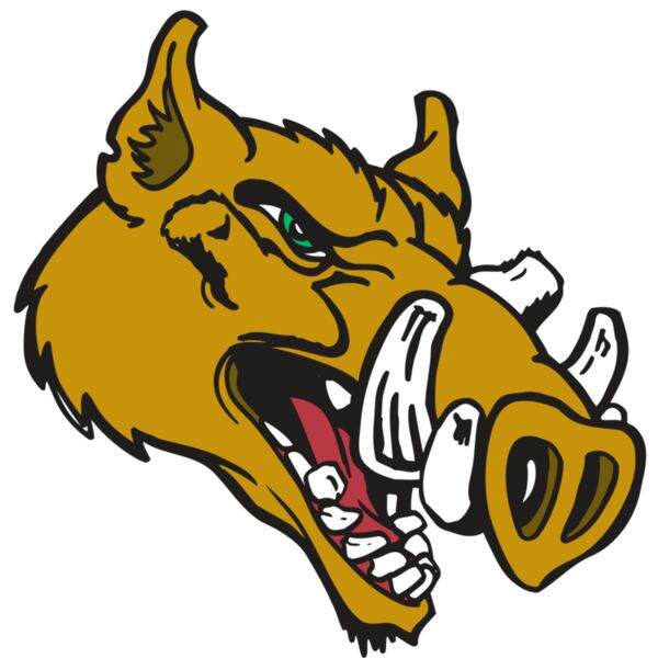 AR RAZORBACK 17 RC Thumbnail